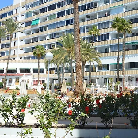 Koka View Apartamento